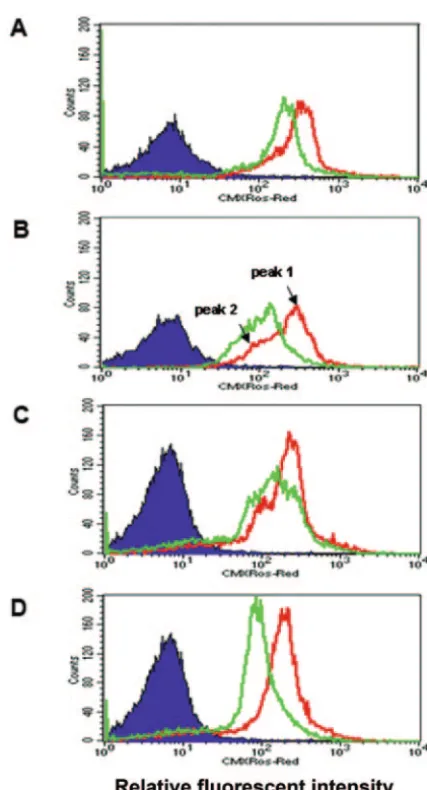 FIG. 5. FACS analysis of the effect of �the mitochondrial membrane potential. Analysis of 2.5each of wild type (WT) and RNAi-induced cells stained with a 2.5concentration of the membrane potential sensitive MitoTracker Red isshown