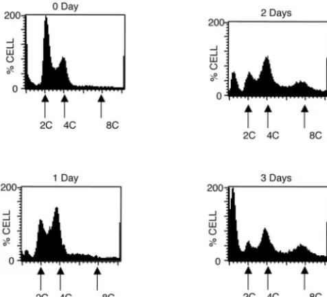 FIG. 3. FACS analysis of TbPLK-depleted cells. T. bruceiform cells under RNAi were sampled each day and stained with PI