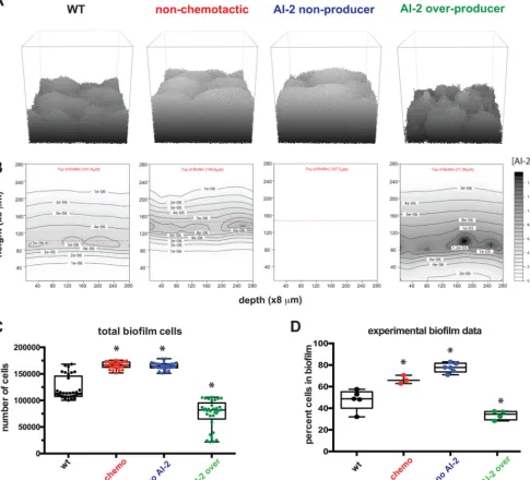 FIG 2 Modeling conﬁrms AI-2 chemotaxis and production alter overall bioﬁlm size. (A) Representative images of 24-h bioﬁlms for each of the four strains inexperimental bioﬁlms from Anderson et al
