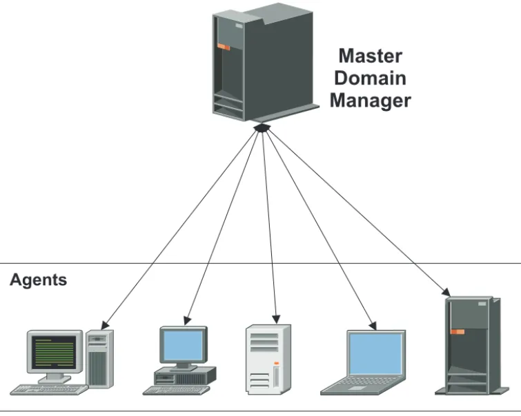 Figure 1. Single-domain network