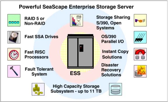 Figure 1. IBM’s New Storage Subsystem