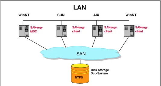 Figure 1-12   A Tivoli SANergy file sharing configuration