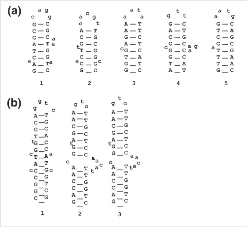Figure 3Representatives of the putative selenocysteine insertion sequence (SECIS) hairpin elements in various genomes as identified by the present studyRepresentatives of the putative selenocysteine insertion sequence (SECIS) hairpin elements in various ge