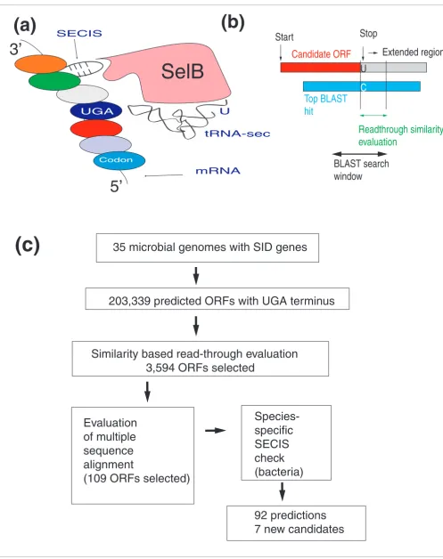 Figure 1 (see legend on next page)