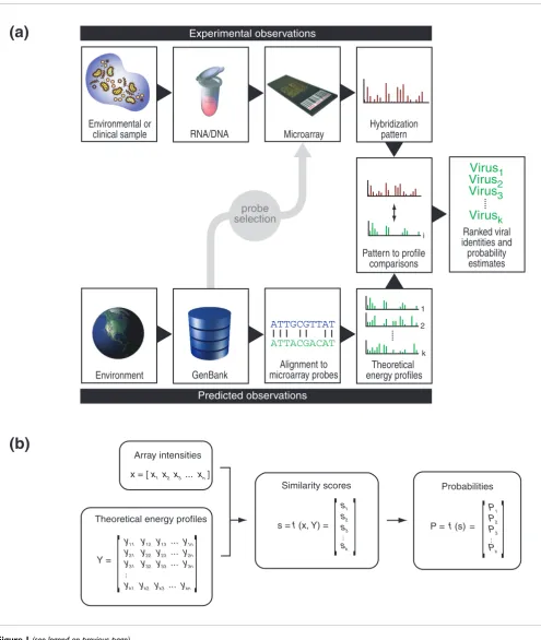 Figure 1 (see legend on previous page)