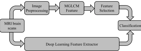 FIGURE 2. Flow chart of the proposed algorithm.