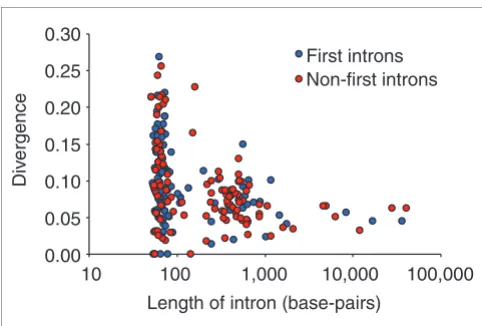 Figure 1intronsThe relationship between intron length and the level of divergence between D