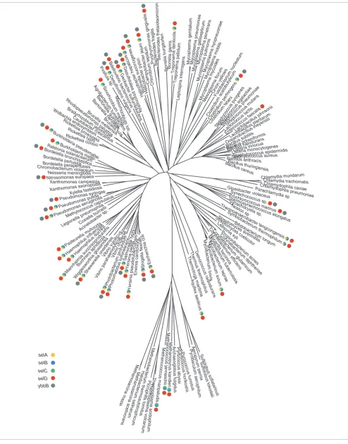 Figure 1 (see legend on previous page)