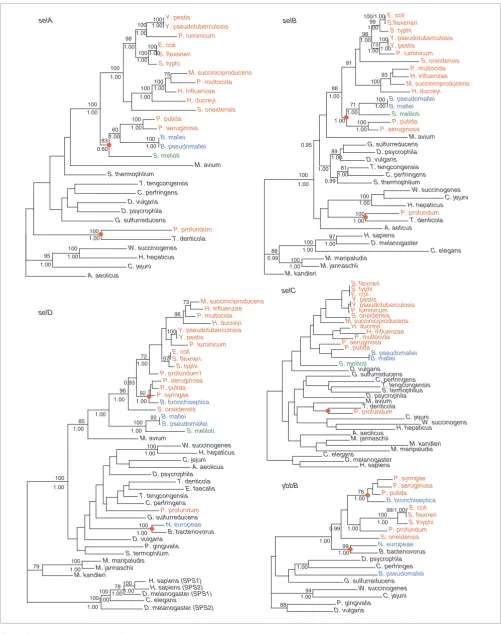 Figure 2 (see legend on previous page)