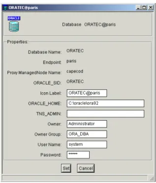 Figure 2-18   Oracle database property dialog