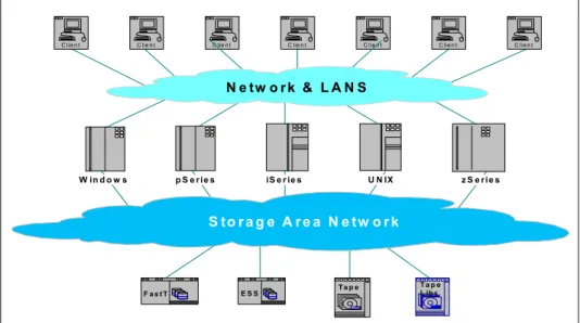 Figure 1-1   A SAN