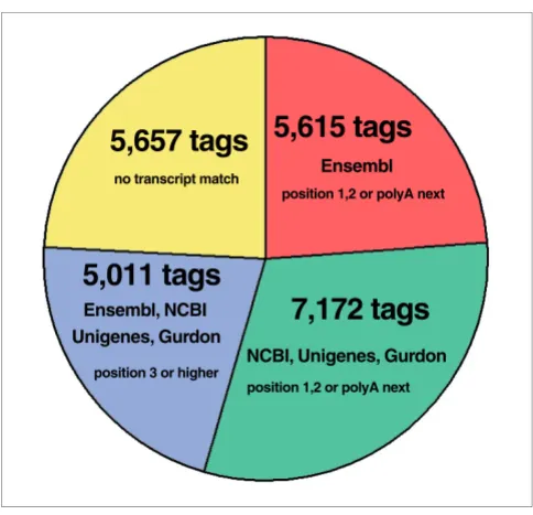 Figure 1databasesTag-mapping of experimental tags to X. tropicalis genome and transcript 