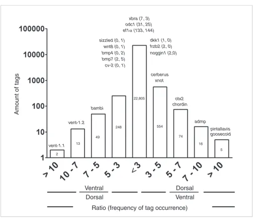Figure 2Comparison of the normalized frequencies of tag occurrence between dorsal and ventral SAGE libraries