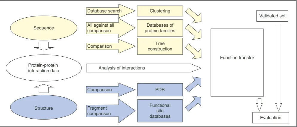 Figure 1Automated strategy for assigning function to proteins. The various approaches to protein function prediction are described in the text