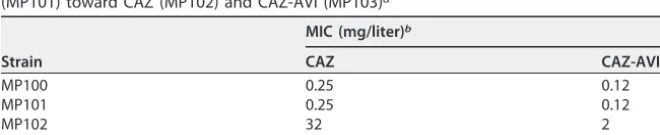 TABLE 1 E. coli strains used and constructed in this study