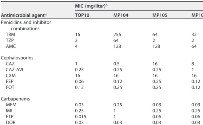 TABLE 3 MIC of E. coli TOP10 strains expressing native OXA-48, OXA-48:P68A, and OXA-48:P68A,Y211S
