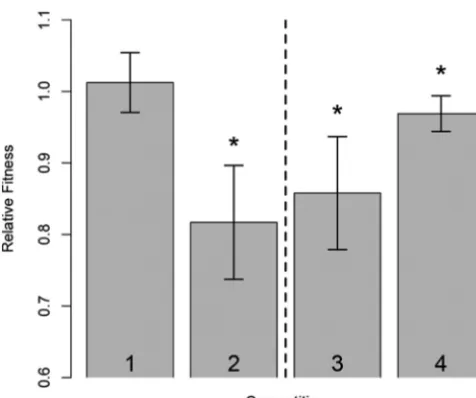 FIG 2Mixed head-to-head competitions. Strains were mixed in a 1:1 ratio and grown togetherovernight