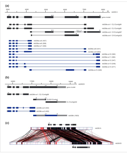 Figure 6nb039 (b) Genomic organization and alternative transcripts of loci A and BGenomic organization and alternative transcripts of nb039 loci A and B