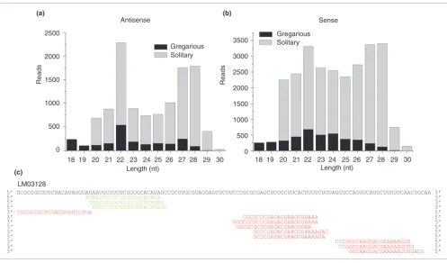 Figure 6Small RNAs that match to EST sequences perfectly