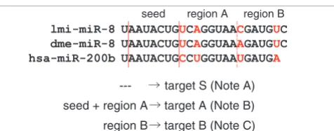 Figure 8The same miRNA family plays roles in different modes in different speciesLocust, fruit fly and human have the same targets if only the 'seed' sequence is used for target recognition