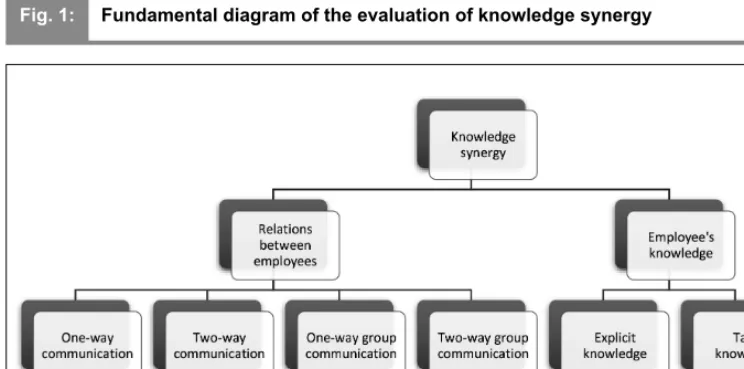 Fig. 1:Fundamental diagram of the evaluation of knowledge synergy