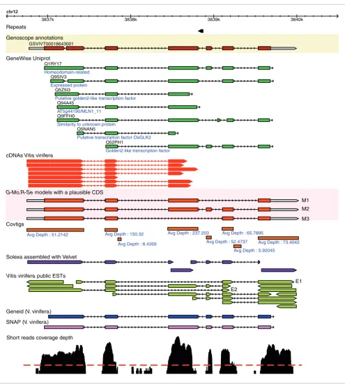 Figure 5Example of alternatively spliced models built from short reads