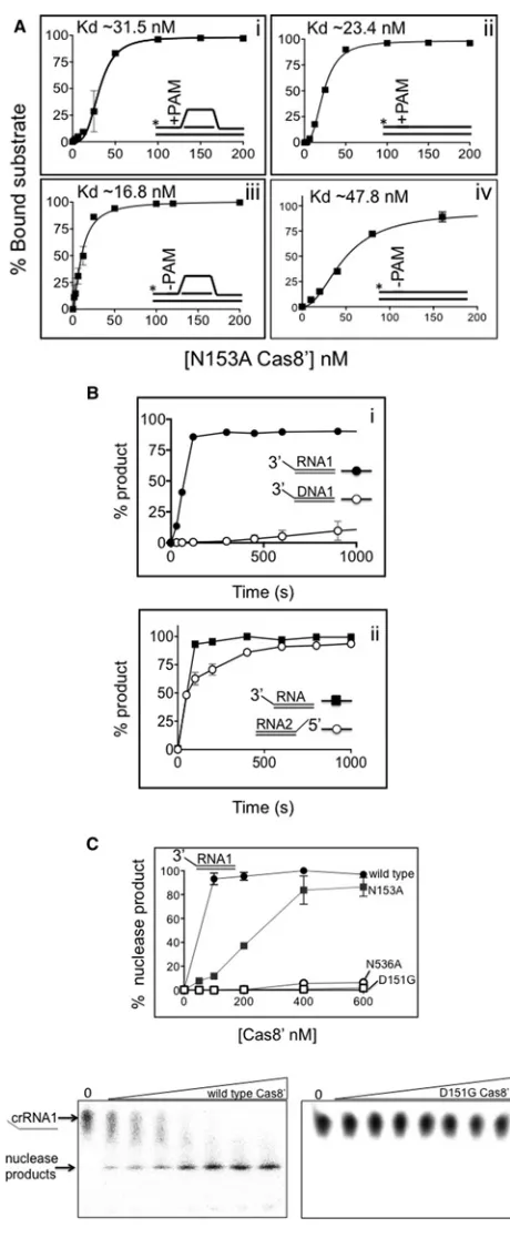 Figure 4 Cas8′i–iv, for comparison with wild-type Cas8plotting as mean values with bars for standard error