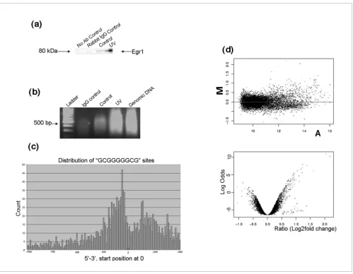 Figure 2ChIP-on-chip hybridization results