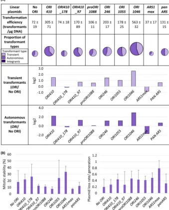 FIG 4 (A) Comparison of linear plasmids carryingtransformants with ORI to that without ORI (by various shades of a color (lightest shade representing transients, intermediate shade representingARS-transformants, and darkest shade representing integrants)