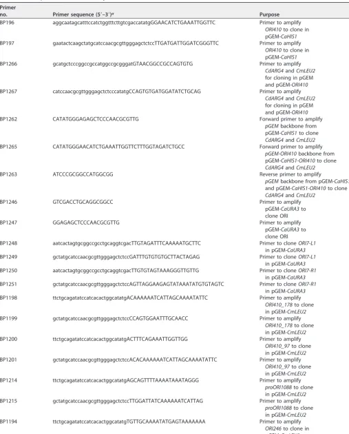 TABLE 4 List of primers used in the study