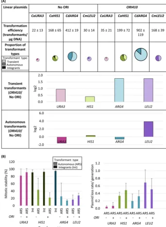FIG 3 (A) Comparison of linear plasmids carrying different selection markers with and withouttransformation efﬁciency, proportion of different types of transformants, and logSN152, respectively