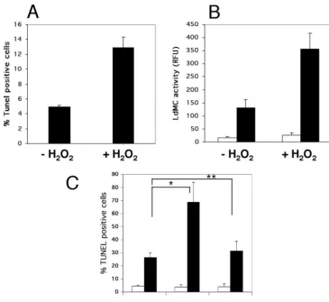 FIG. 9. Sensitivity of Lamastigotes either treated with 2 mM H. donovani wild type and LdMC transfectants to H2O2