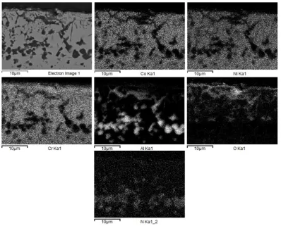 Figure 13 EDS mapping of near surface region of polished IN738 after 2 h exposure at 1100°C 