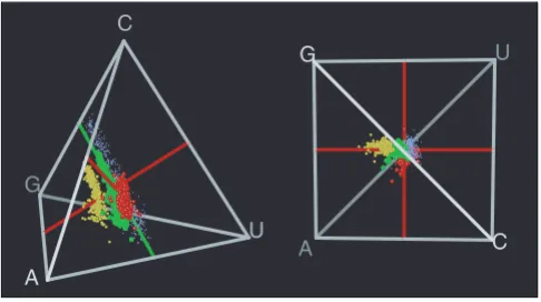 Figure 2Relationship between base composition and code error