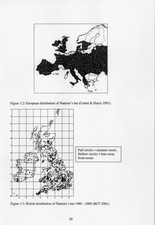 Figure 1.2: European distribution of Natterer's bat (Corbet & Harris 1991). 