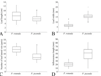 Figure 4. Box plots of four quantitative characters, leaf length (A) leaf width (B) number of leaf lateral vein pairs (C) and inflorescence length (D) of Persicaria rotunda and P