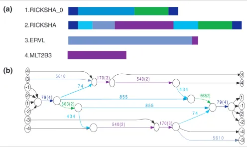 Figure 2Repeat domain structure and repeat domain graphRICKSHA_0 have 79 bp inverted terminal repeats