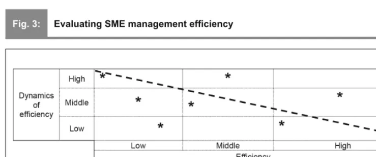 Fig. 3:Evaluating SME management efﬁ ciency