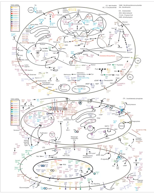 Figure 4 (see legend on previous page)
