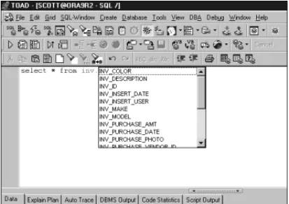 FIGURE 3.17 TOAD alias setup.