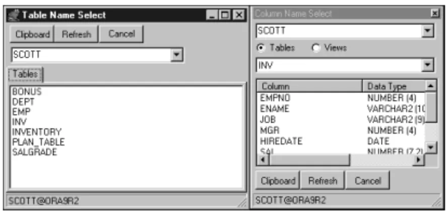 FIGURE 3.19 Available tables in the SCOTT schema.
