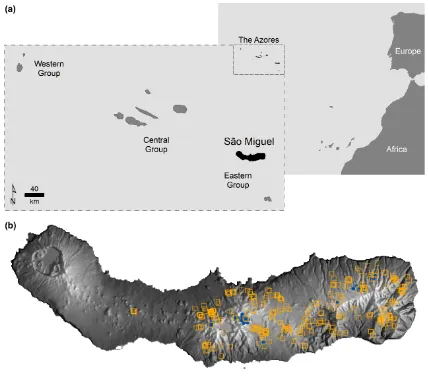 Figure 1. Study area and species data used: (background represents the island relief as bright tones for high altitude and insolation and dots) presence recorded in São Miguel between September 2011 and May 2012