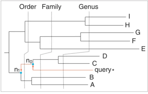 Figure 5A tree based bracketing algorithm for phylotyping a query sequence