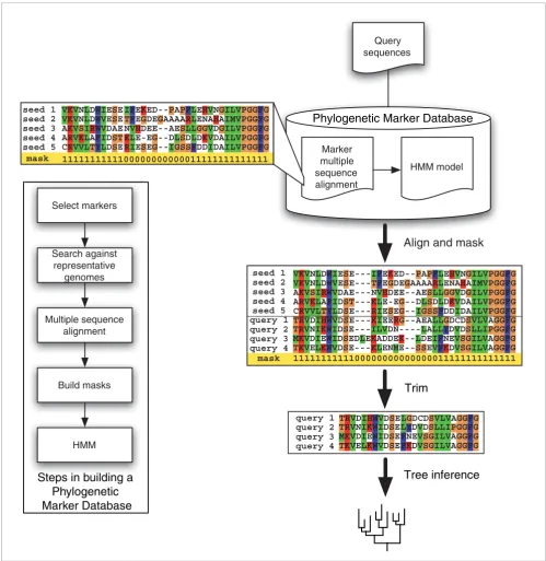Figure 1A flowchart illustrating the major components of AMPHORA