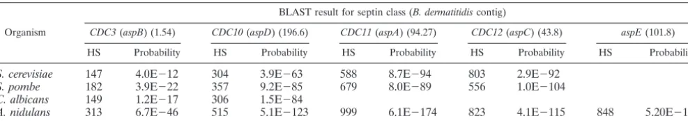 TABLE 1. Blastomyces dermatitidis septin homologsa