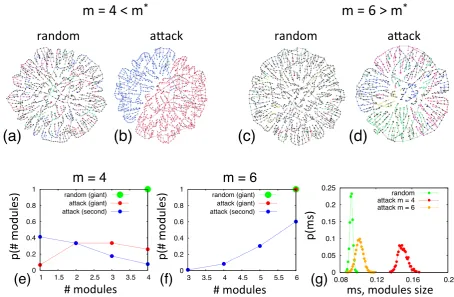 Figure 3.4: Visualisation is shown for networks of size N = 12000 with mean degree k = 4 and α = 10,at the point where the giant component contains 10% of the nodes (S = 0.1) (a),(c) for random noderemoval, (b),(d) for attack on interconnected nodes