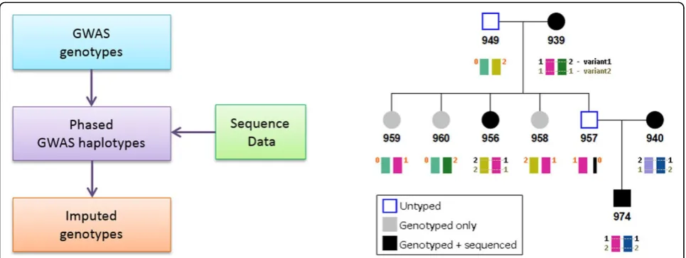 Figure 2 shows the pedigree structure of family 21 and