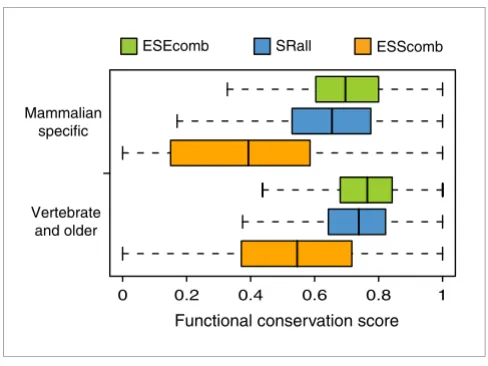 Figure 5SRE functional conservation between human and mouse