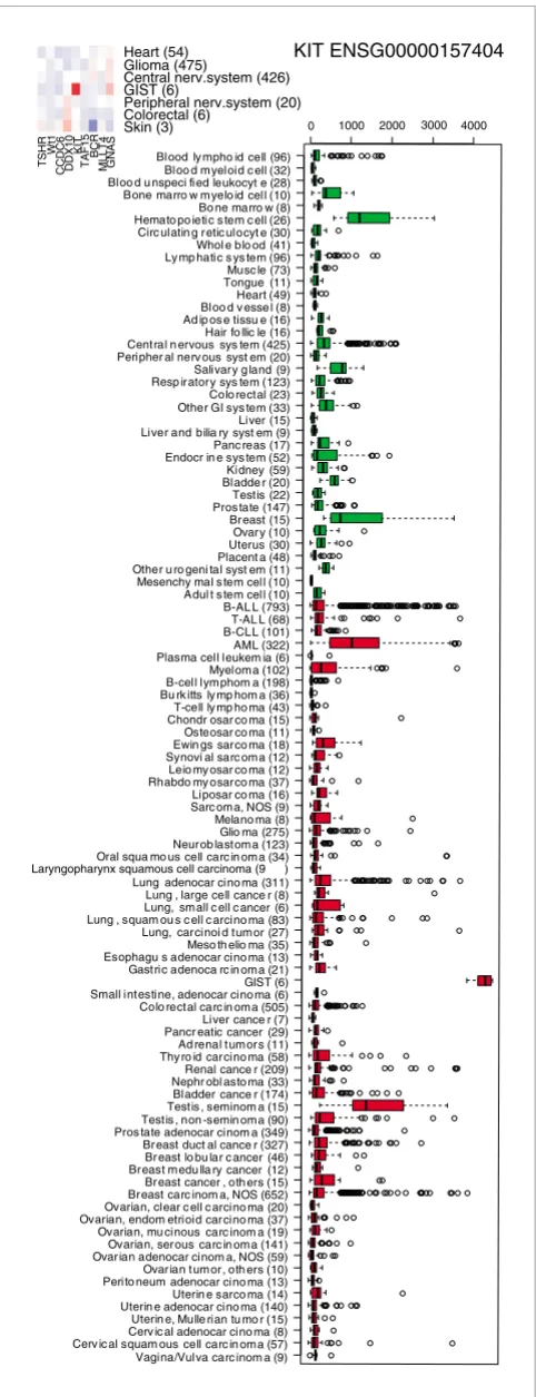 Figure 6bodymap in Figure 5Expression profile for the KIT gene shows interesting patterns in the 