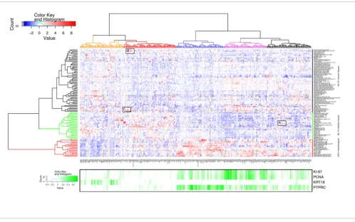 Figure 5Body-wide expression map of known cancer genes